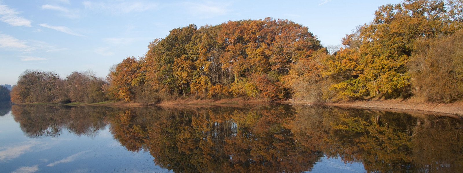 Etang de la Forge - Roche aux Fées