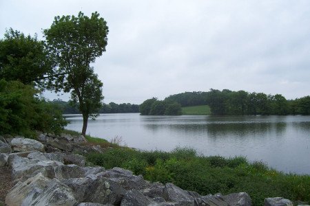 L'étang de la forge