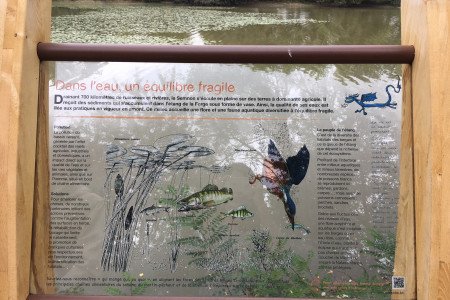 Sentier découverte de l'étang et ses habitants