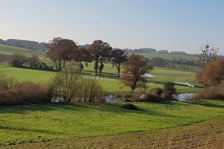 Boistrudan - Vieux chemins et bords de Seiche