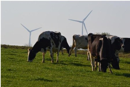 Retiers - Circuit des éoliennes 