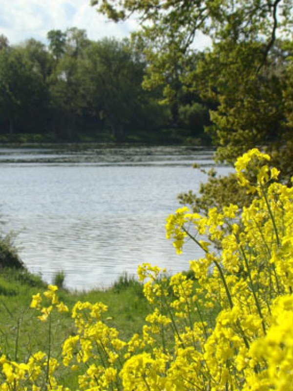 Activités nature au Pont du Rachapt