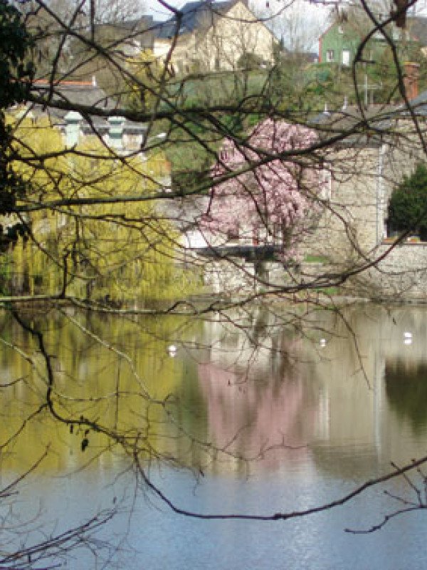 Activités nature au Pont du Rachapt