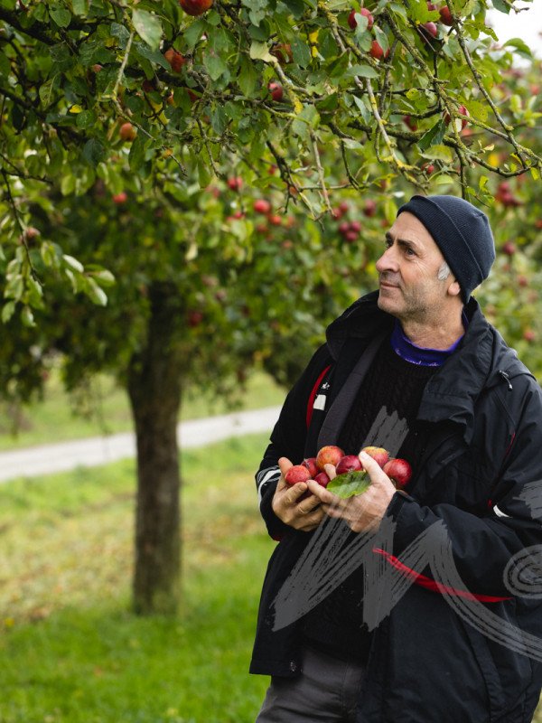 Au Bonheur des Pommes
