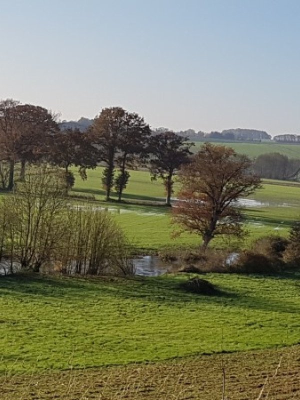 Boistrudan - Vieux chemins et bords de Seiche