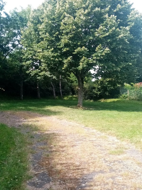Camping Municipal le Bois Feuillet