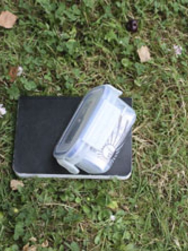 Chasse aux trésors la Roche aux Fées à Essé
