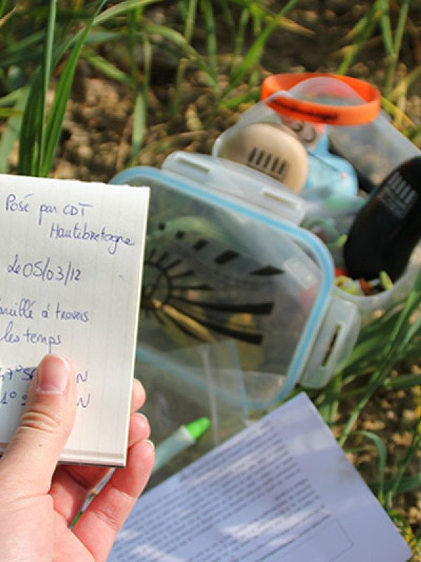 Chasse aux trésors Marcillé à travers les temps à Marcillé-Robert