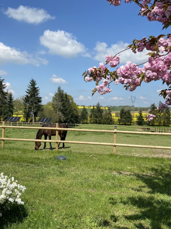 Domaine de La Béguinais
