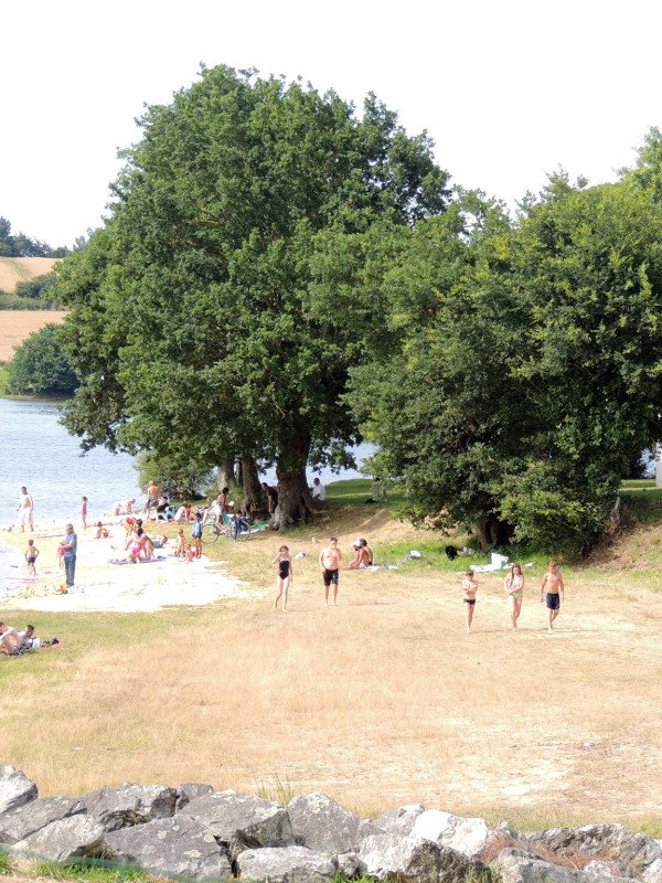 L'etang de la Forge