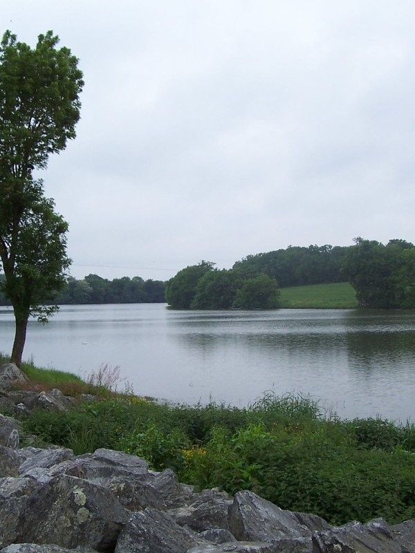 L'étang de la forge