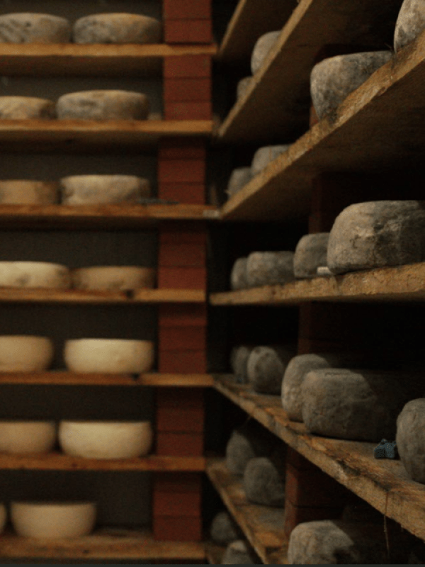 La Chèvrerie d'Amanlis 