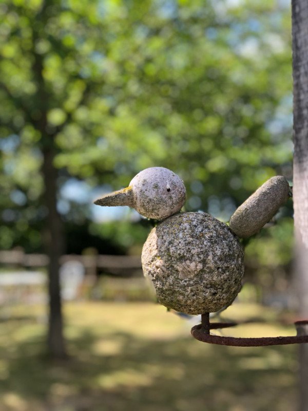 Le Cabaret des oiseaux 