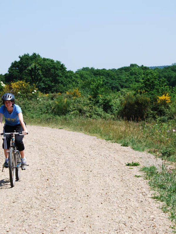 Le Theil-de-Bretagne - Vélo Promenade® Bellevue 