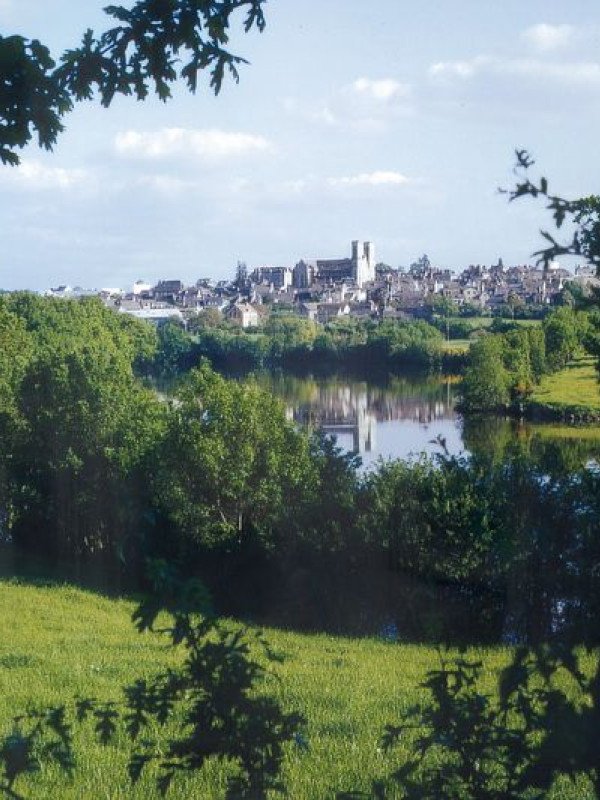 Martigné-Ferchaud - Tour de l'étang