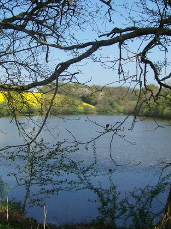 Martigné-Ferchaud - Vallée de Guéra 