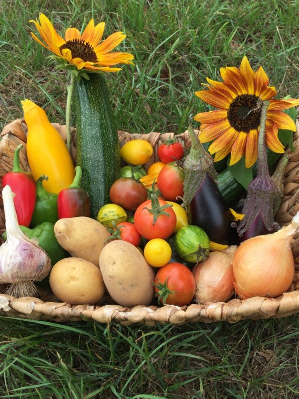 Potage et Nature