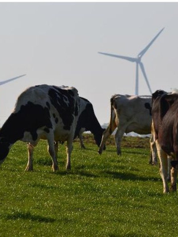 Retiers - Circuit des éoliennes 