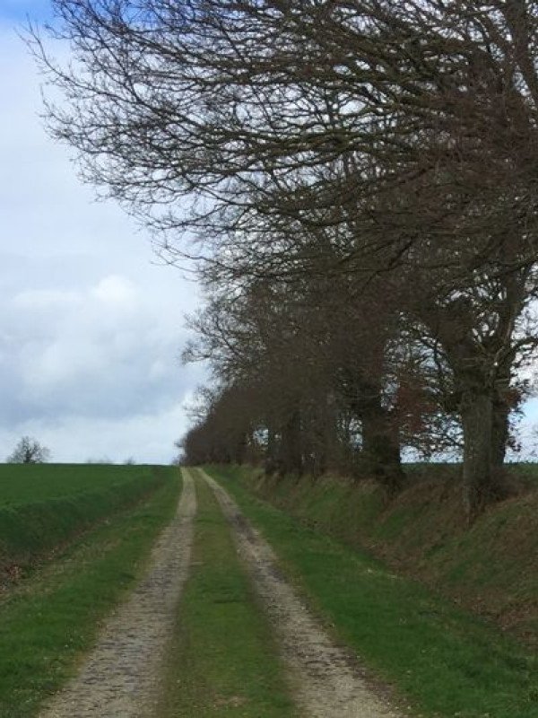 Sainte-Colombe - La ronde des espiègles 