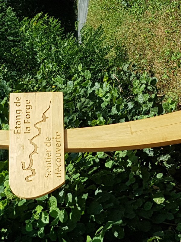 Sentier découverte de l'étang et ses habitants
