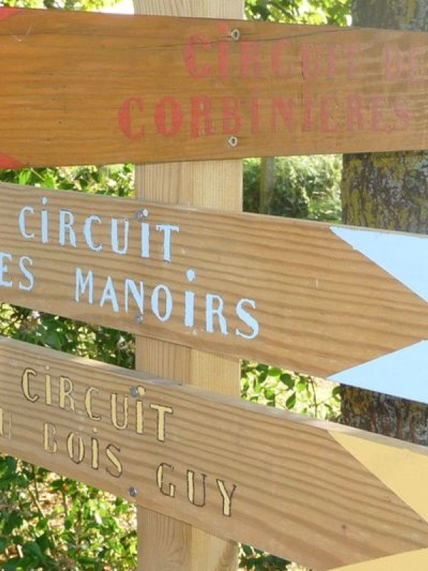 Thourie - Circuit du Bois Guy